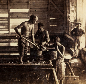 Cuba sugarmaking